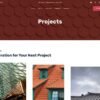 SkyGuard Roofing Standard Business Website