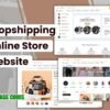 Dropshipping Online Store Website